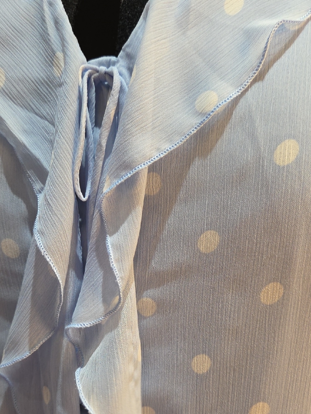 Nwt 1X & 3X Tamara H Women's Light Blue Polka Dot Ruffle Tie-Front Blouse - Picture 13 of 14